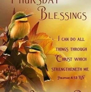 Meet your Posher, Janice